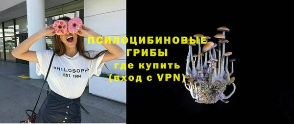 бошки Аркадак