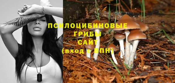 бошки Аркадак