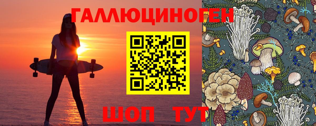 Галлюциногенные грибы прущие грибы Нарткала