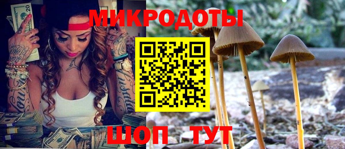 продажа наркотиков  Псилоцибиновые грибы Cubensis  Вход с VPN  Нарткала 