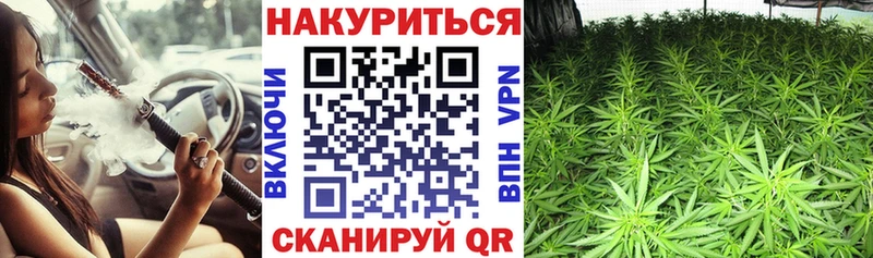 Бошки марихуана OG Kush  купить наркотики сайты  Нарткала 